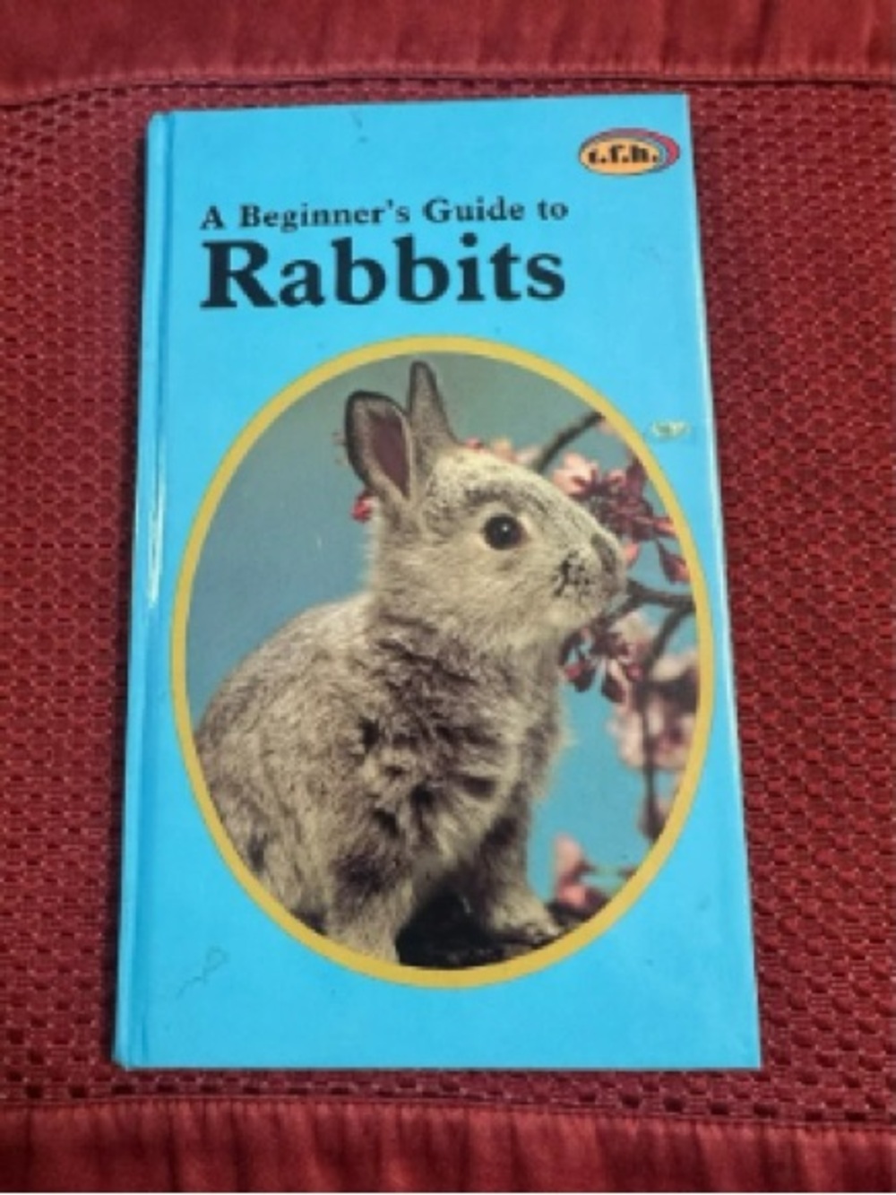 A Beginner's Guide to Rabbits - Blue Cover Small Pets Book